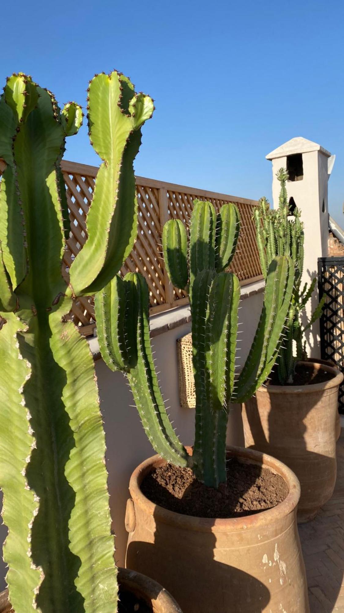 Riad Gasaembre Touareg Marrakesh Luaran gambar